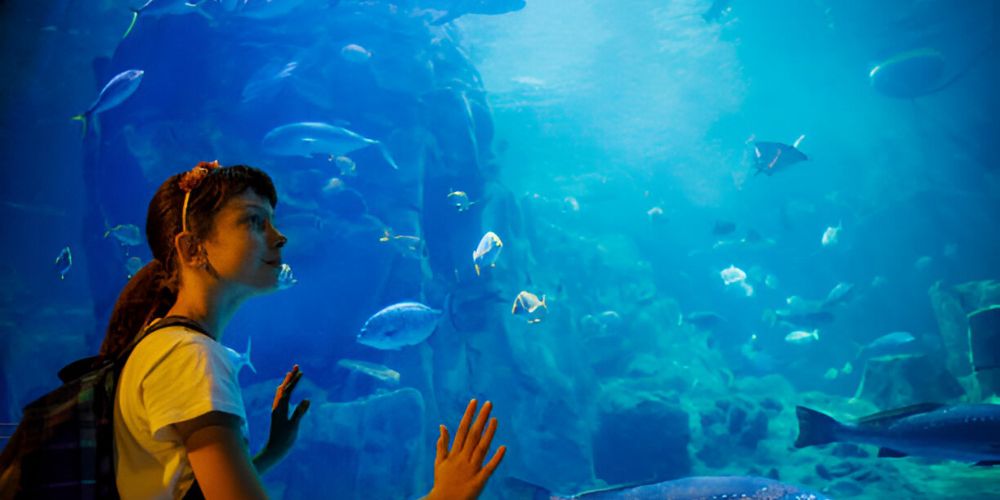 image of kid watching dubai aquarium 